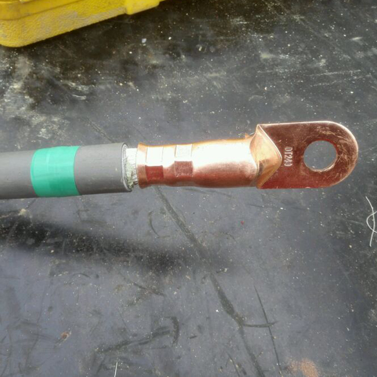 DT銅鼻子使用案例